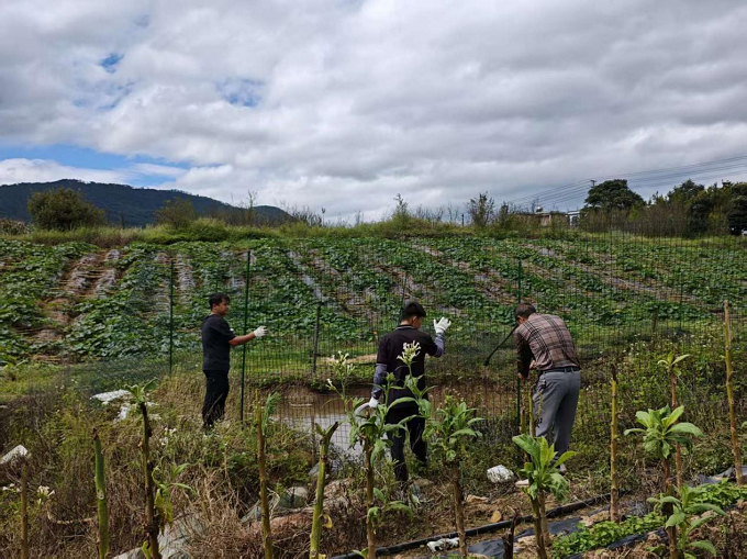 古城街道：开展防溺水专项排查 筑牢水域安全防线3.png