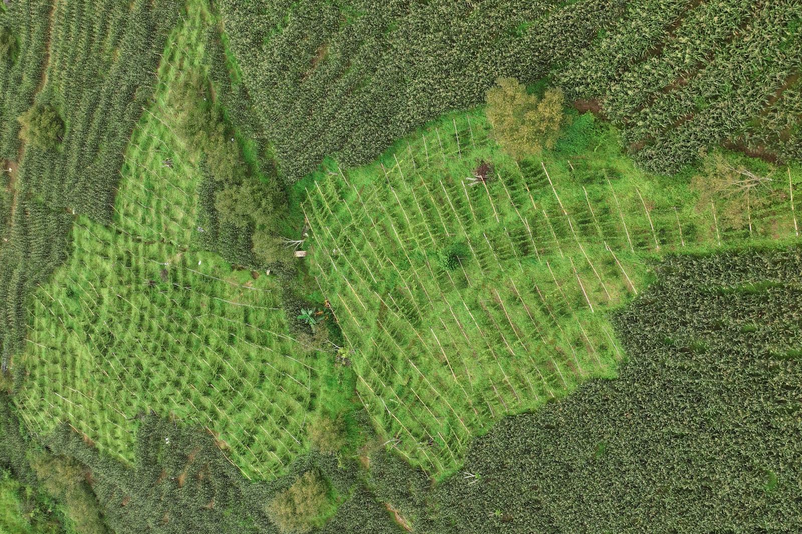 建兴乡帽盒村李壮明：返乡创业种“金果” 电商助农闯富路1.jpg