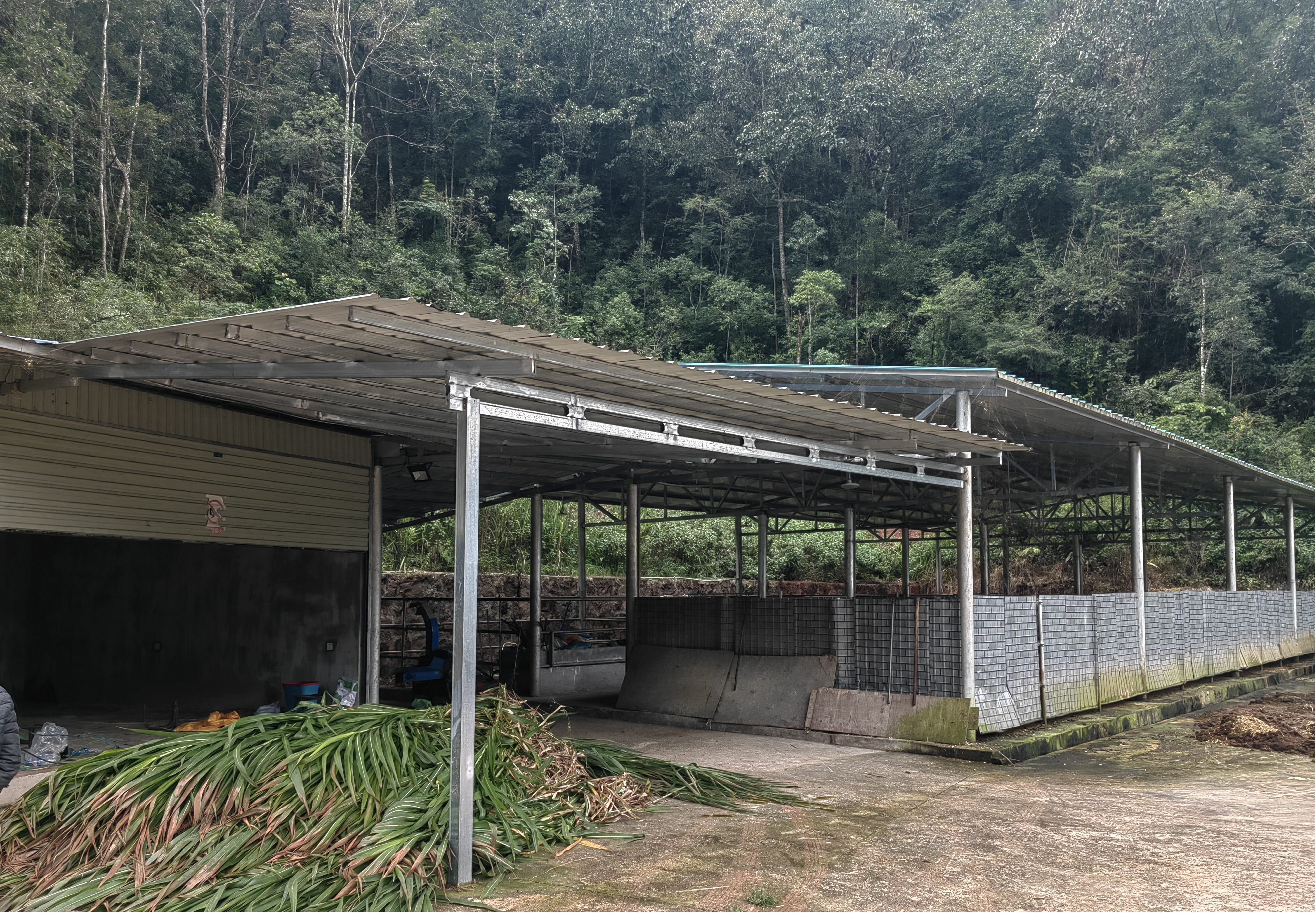 张宏平掌建兴11 (1).jpg