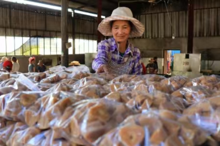 微信图片_20251216101711_830.jpg 微信图片_20251216101711_830.jpg