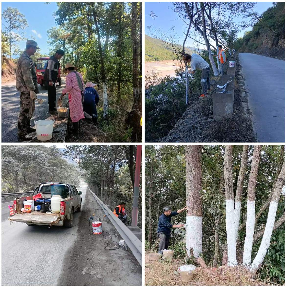 12.18重点省县道树木涂白(拼图).jpg