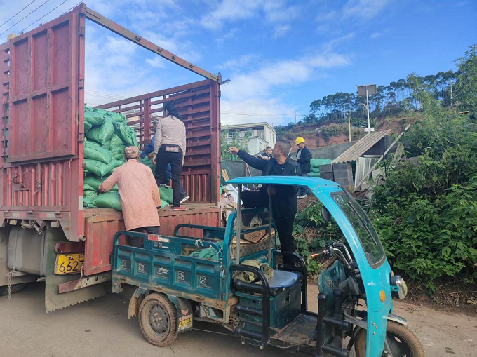 古城纳溪：高标准农田建设再发力 优质有机肥免费发放到户1.png