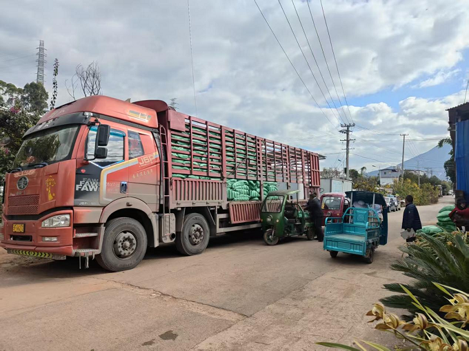 古城纳溪：高标准农田建设再发力 优质有机肥免费发放到户2png.png