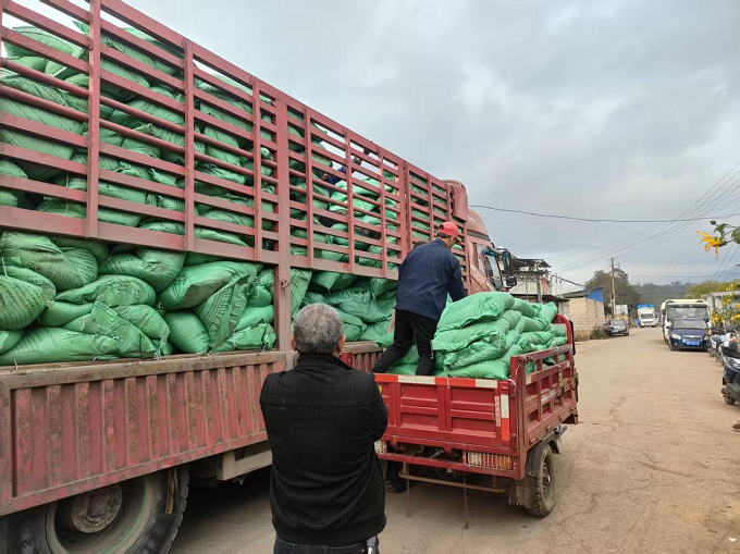 古城纳溪：高标准农田建设再发力 优质有机肥免费发放到户3png.png