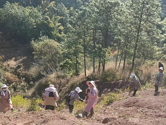 古城街道:织密防火安全网 筑牢森林防护屏障3.png 古城街道:织密防火安全网 筑牢森林防护屏障3.png