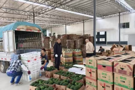 微信图片_2026-02-06_111855_662.png 微信图片_2026-02-06_111855_662.png