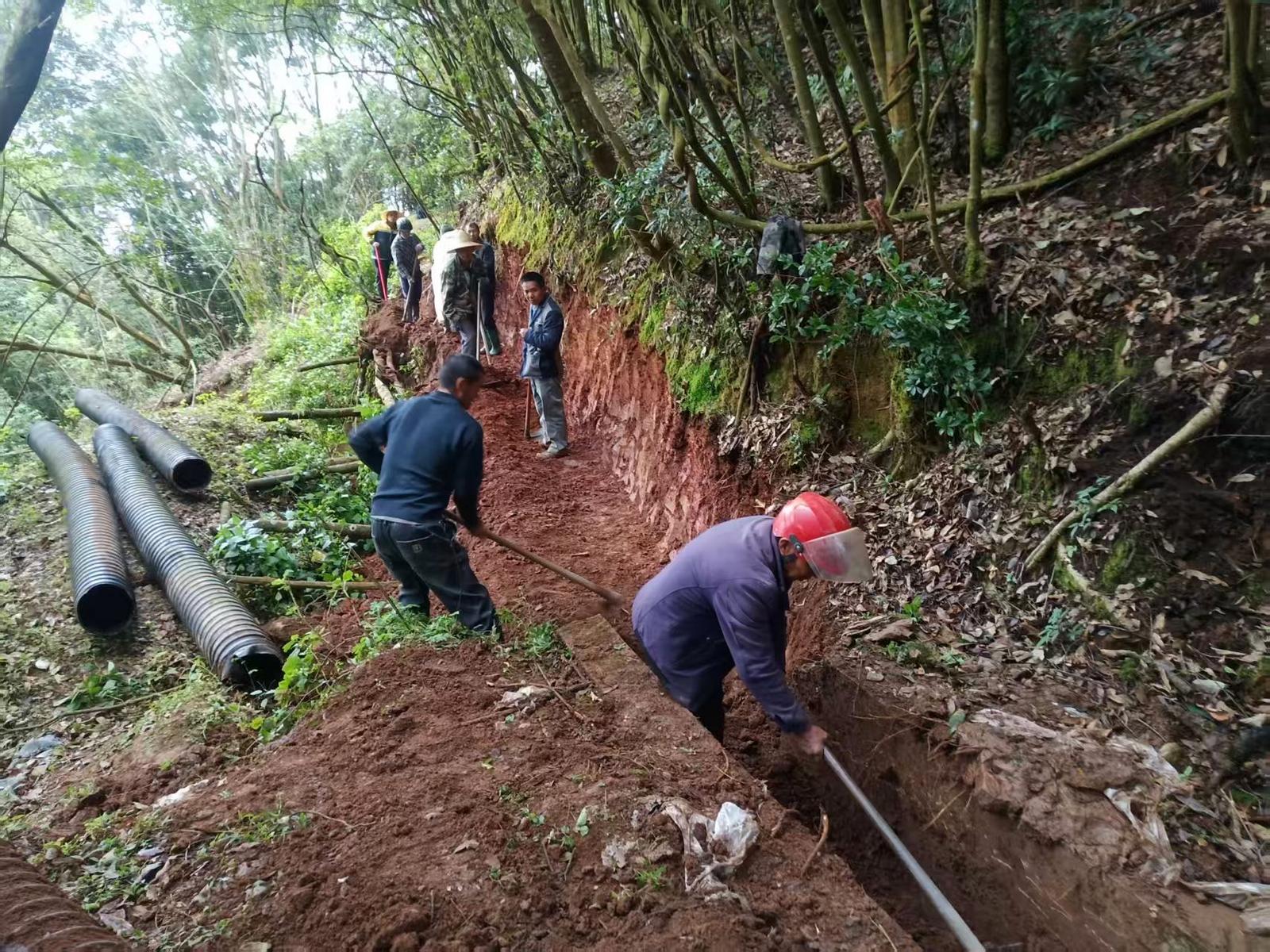 1eff1c7e-796d-4001-97b2-876135cea385_l.jpg 1eff1c7e-796d-4001-97b2-876135cea385_l.jpg