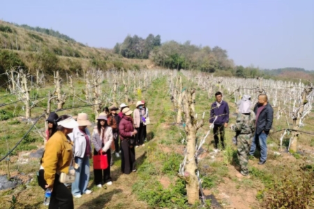 762e3f29f964dcf65e55c160a44b7f3c.jpg 762e3f29f964dcf65e55c160a44b7f3c.jpg