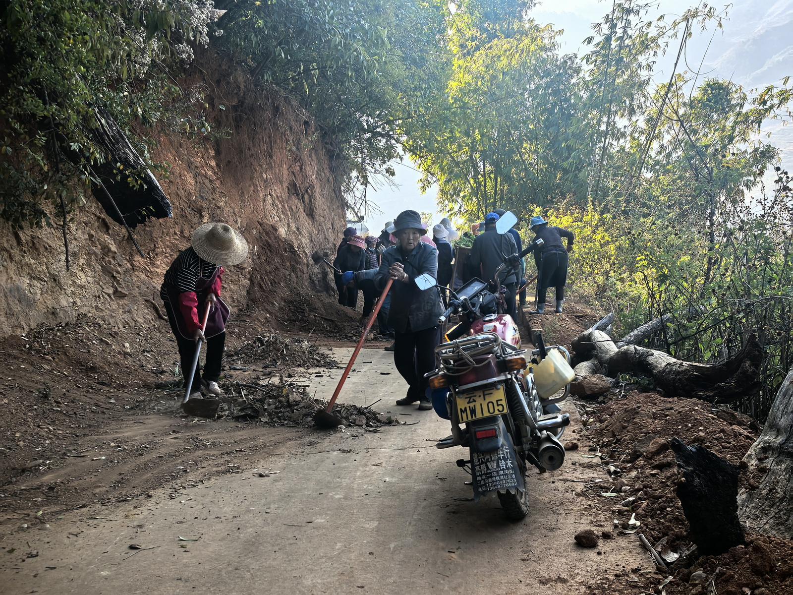 8b7349ac-9a62-42f8-93c9-08b708226911_l.jpg 8b7349ac-9a62-42f8-93c9-08b708226911_l.jpg